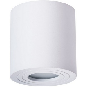 Изображение товара Потолочный светильник уличный IP44 Arte Lamp Galopin A1460PL-1WH