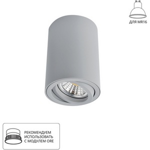 Изображение товара Точечный светильник Arte Lamp Sentry A1560PL-1GY