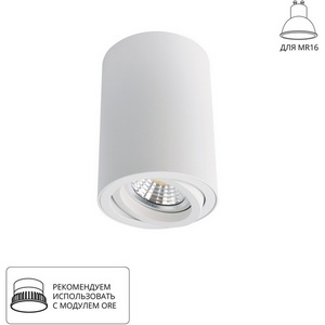 Изображение товара Точечный светильник Arte Lamp Sentry A1560PL-1WH