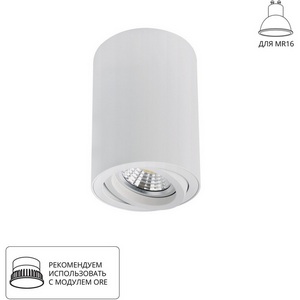 Изображение товара Накладной потолочный светильник Arte Lamp Sentry A1566PL-1WH
