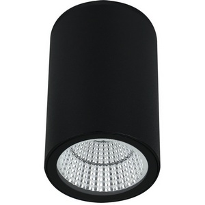 Изображение товара Уличные потолочные светильник IP65 светодиодный Arte Lamp Torcular A1807PF-1BK