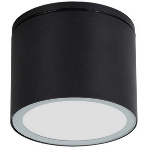 Изображение товара Потолочный светильник уличный IP54 Arte Lamp Piautos A1913PF-1BK