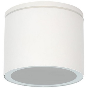 Изображение товара Потолочный светильник уличный IP54 Arte Lamp Piautos A1913PF-1WH