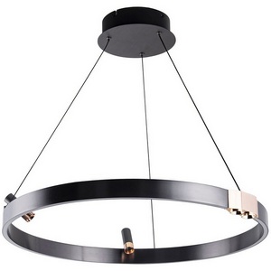 Изображение товара Подвесной светильник LED со спотами Arte Lamp Cesare A1993SP-30BK кольцо