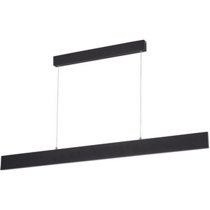 Изображение товара Подвесной светильник LED Arte Lamp Largo A2505SP-2BK