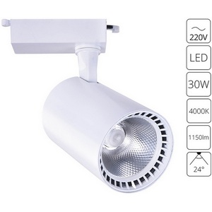 Изображение товара Трековый светильник однофазный 220V светодиодный Arte Lamp Vinsant A2664PL-1WH