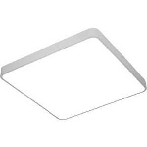 Изображение товара Потолочный светильник светодиодный Arte Lamp Scena A2687PL-45WH