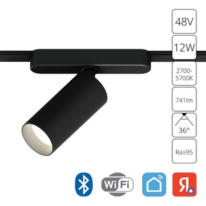 Изображение товара Магнитный трековый светильник LED 48V 12W Arte Lamp Rapid A2958PL-1BK (Умный дом, Алиса)