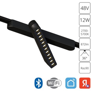 Изображение товара Магнитный трековый светильник LED 48V 12W Arte Lamp Rapid A2961PL-1BK (Умный дом, Алиса)