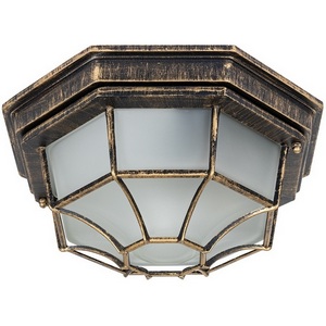 Изображение товара Потолочный светильник уличный IP44 Arte Lamp Pegasus A3121PF-1BN