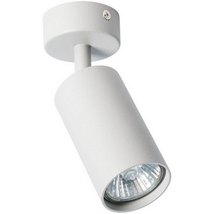 Изображение товара Спот Arte Lamp Aquarius A3216PL-1GY