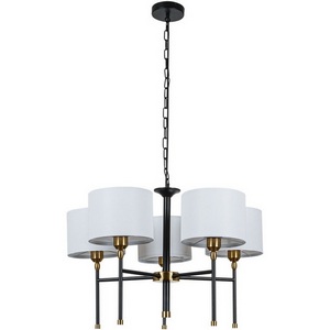 Изображение товара Подвесная люстра Arte Lamp Jamie A4090LM-5BK