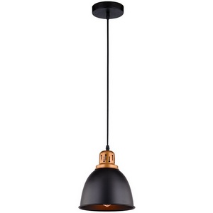Изображение товара Подвесной светильник Arte Lamp Eurica A4245SP-1BK