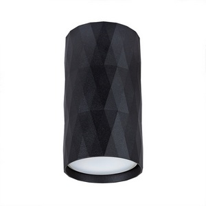 Изображение товара Накладной светильник Arte Lamp Fang A5557PL-1BK