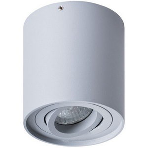 Изображение товара Накладной светильник Arte Lamp Falcon A5645PL-1GY