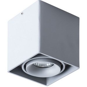 Изображение товара Накладной светильник Arte Lamp Pictor A5654PL-1GY форма куба