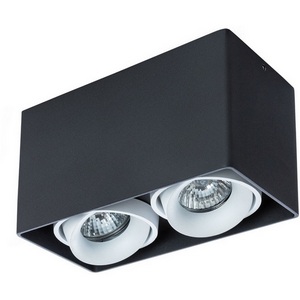 Изображение товара Накладной светильник Arte Lamp Pictor A5654PL-2BK