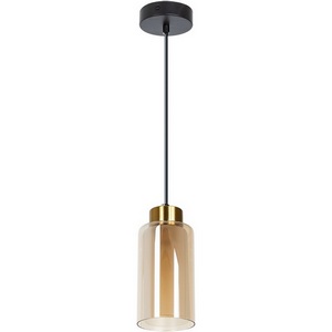 Изображение товара Подвесной светильник Arte Lamp Leo A7027SP-1BK