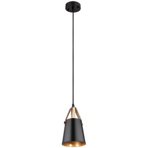 Изображение товара Подвесной светильник Arte Lamp Thomas A7032SP-1BK