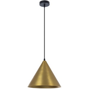 Изображение товара Подвесной светильник Arte Lamp David A7041SP-1BK