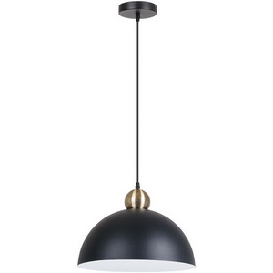 Изображение товара Подвесной светильник Arte Lamp Recinto A7053SP-1BK