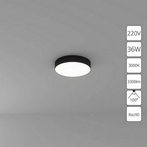 Изображение товара Потолочный светильник круглый светодиодный Arte Lamp Fado A7335PL-1BK