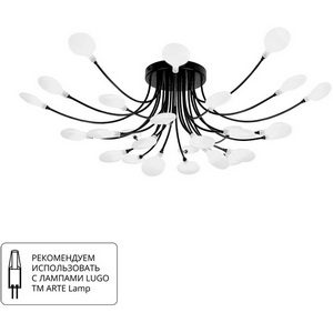 Изображение товара Потолочная люстра Arte Lamp A7423PL-28BK