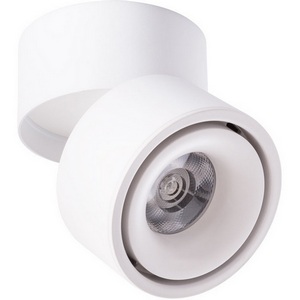 Изображение товара Накладной светильник светодиодный Arte Lamp Arcturus A7715PL-1WH