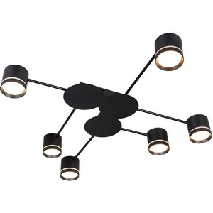 Изображение товара Потолочная люстра Arte Lamp Legacy A8024PL-6BK