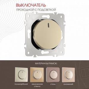 Изображение товара Выключатель встраиваемый одноклавишный проходной с подсветкой Arte Milano am-202 202.33-1.shampan