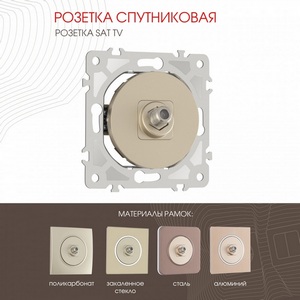 Изображение товара ТВ-розетка встраиваемая Arte Milano am-202 202.42-1.shampan