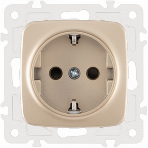 Изображение товара Розетка встраиваемая с заземлением и шторкой Arte Milano am-205 205.40-1.shampan