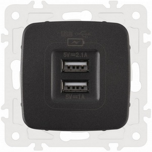 Изображение товара Розетка встраиваемая USB 2.1А+1А Arte Milano am-205 205.46-1.black