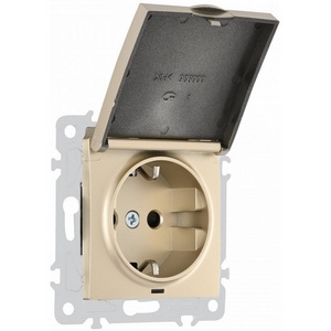 Изображение товара Розетка встраиваемая с заземлением и крышкой IP44 Arte Milano am-206 206.41-1.shampan