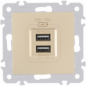 Изображение товара Розетка встраиваемая USB 2.1А+1А Arte Milano am-206 206.46-1.shampan