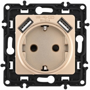 Изображение товара Розетка встраиваемая с заземлением, шторками и USBх2 DC 5V 2.1A Arte Milano am-217 217.47-1.shampan