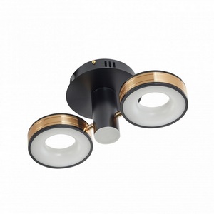 Изображение товара Потолочный светильник LED Arte Milano 271040/2R BK/GD