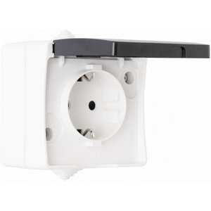 Изображение товара Розетка накладная с заземлением и крышкой IP44 Arte Milano am-309 309.40-1.grey