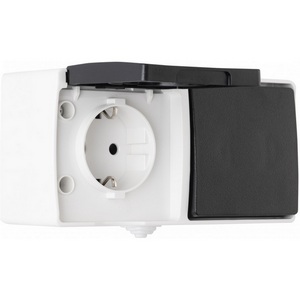 Изображение товара Розетка накладная с одноклавишным выключателем IP44 Arte Milano am-309 309.52-1.grey