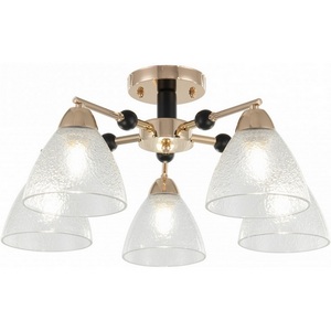 Изображение товара Потолочная люстра на штанге Arte Milano Napoli 324119/5 FG+BK