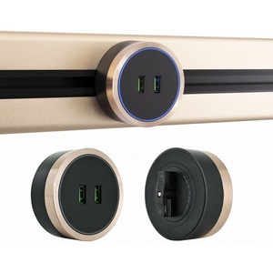 Изображение товара Трековая розетка USBx2 с подсветкой Arte Milano Am-track-sockets 380066TS LED/USBx2 Gold