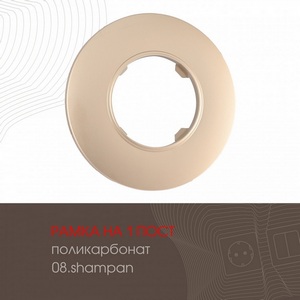 Изображение товара Рамка на 1 пост Arte Milano am-502.08 502.08-1.shampan