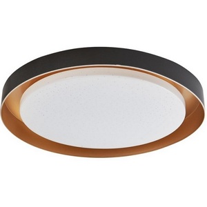 Изображение товара Потолочный светильник круглый светодиодный Arti Lampadari Vista Vista L 1.13.48 B