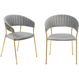 Изображение товара Комплект из 2-х стульев Turin серый с золотыми ножками Bradexhome арт.FR 0910P