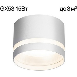 Изображение товара Точечный накладной светильник Citilux Hardy CL002C10