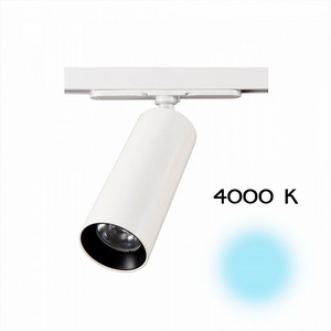 Изображение товара Трековый светильник 220V светодиодный Citilux Тубус CL01T120N