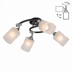 Изображение товара Потолочная люстра Citilux Сиерра CL119241