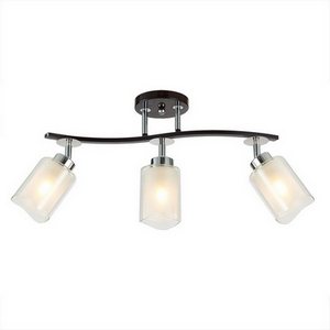 Изображение товара Потолочная люстра Citilux Фортуна CL156132