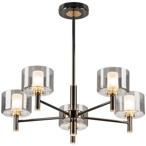 Изображение товара Потолочная люстра на штанге Citilux Elan CL241151