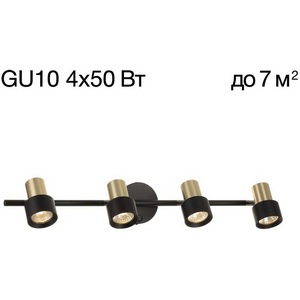 Изображение товара Спот поворотный с включателем Citilux Sat CL505641